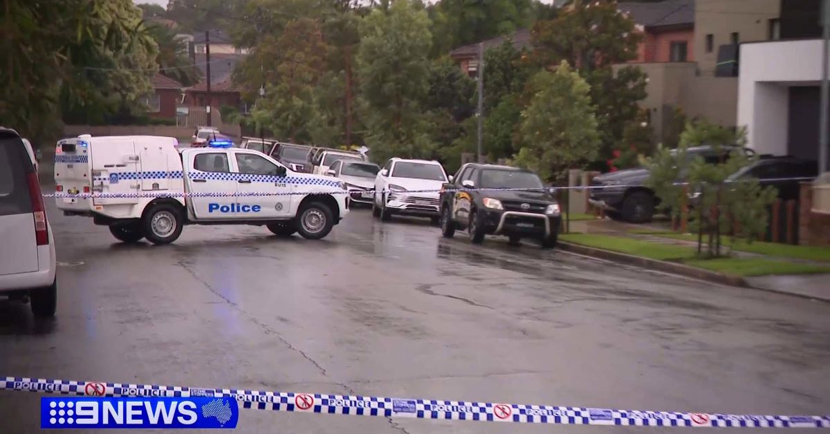 Heated Argument Leads to Fatal Sydney Stabbing; One Arrested